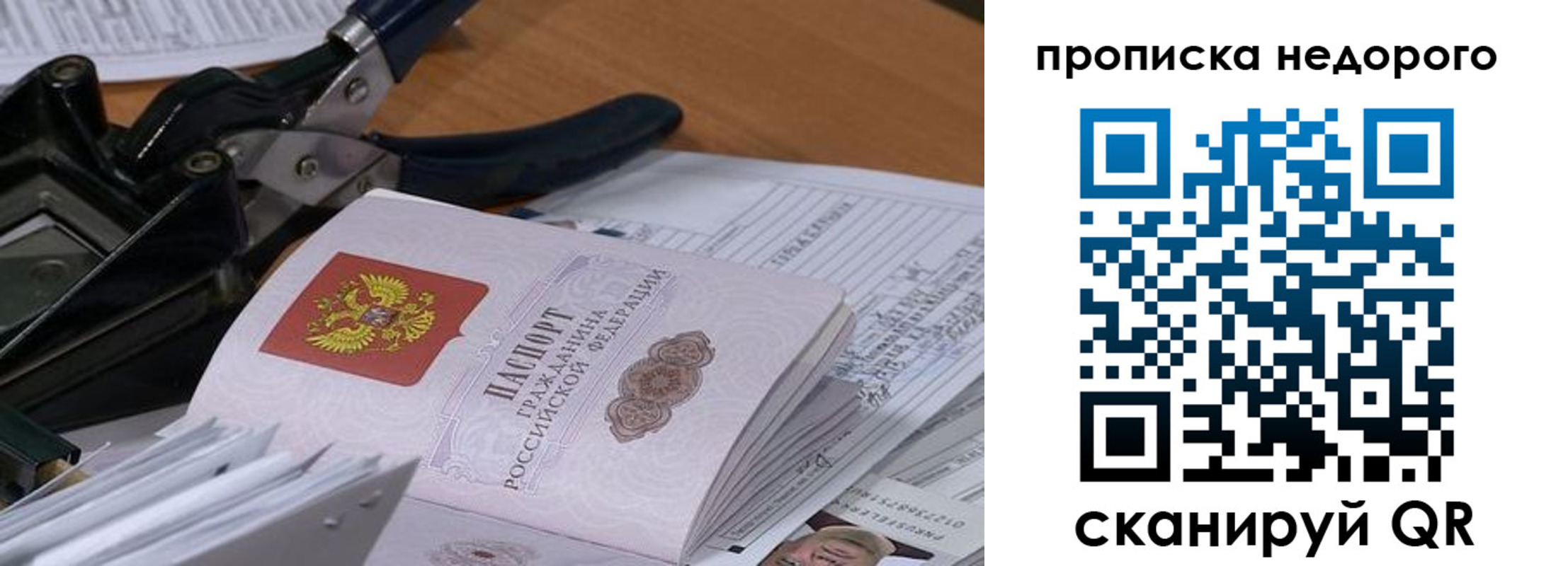 где прописаться в Светлогорске