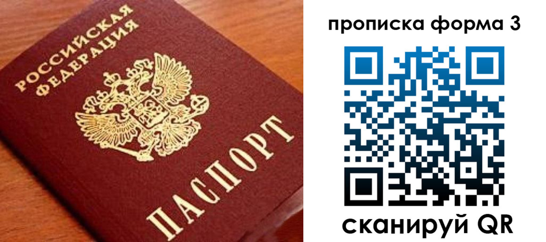 миграционный учет в Светлогорске